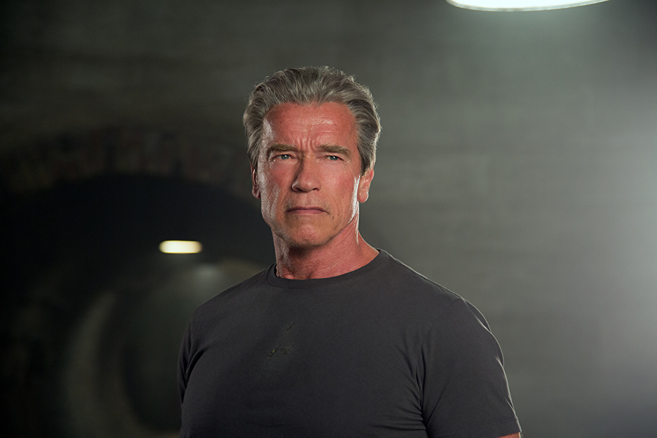 arnold schwarzenegger movie quotes